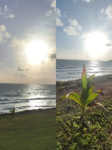 Jornada regenerativa: a arte de falhar, aprender e evoluir